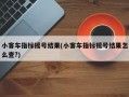 小客车指标摇号结果(小客车指标摇号结果怎么查?)