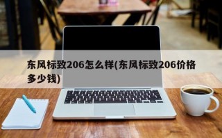 东风标致206怎么样(东风标致206价格多少钱)