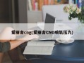 爱丽舍cng(爱丽舍CNG喷轨压力)