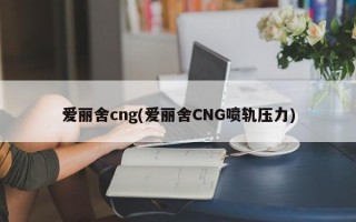 爱丽舍cng(爱丽舍CNG喷轨压力)