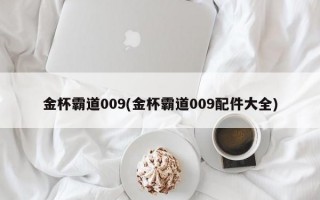 金杯霸道009(金杯霸道009配件大全)