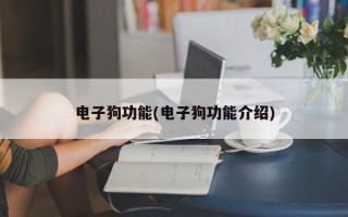 电子狗功能(电子狗功能介绍)