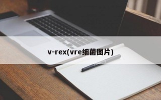 v-rex(vre细菌图片)