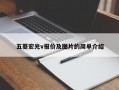 五菱宏光v报价及图片的简单介绍