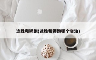 途胜和狮跑(途胜和狮跑哪个省油)