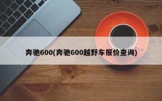 奔驰600(奔驰600越野车报价查询)